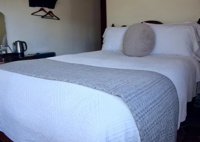 Hotel Amor Y Paz (Adults Only)