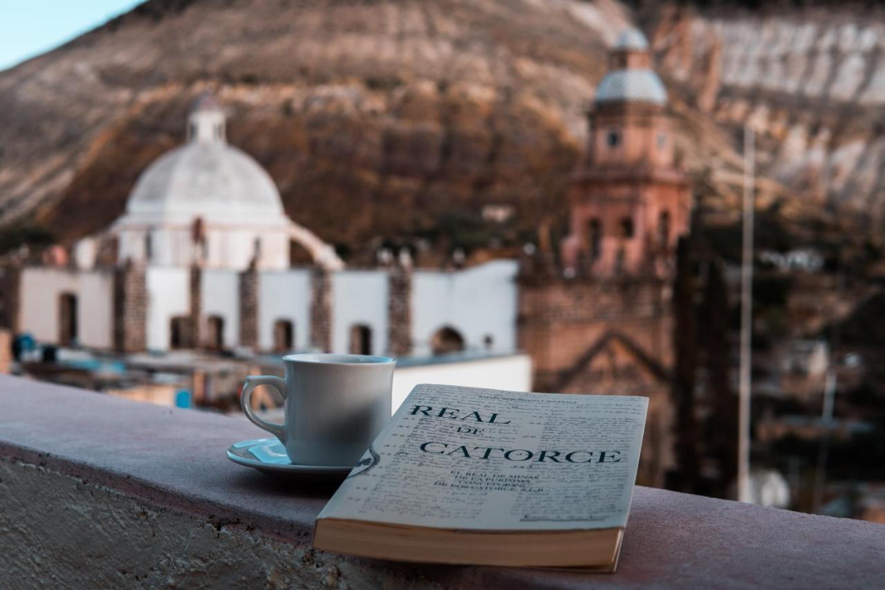 Y Paz (adults Only)